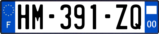 HM-391-ZQ