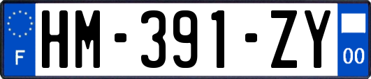 HM-391-ZY