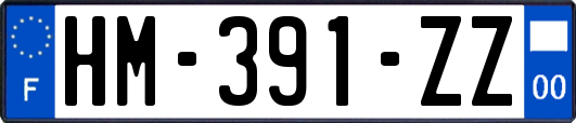 HM-391-ZZ