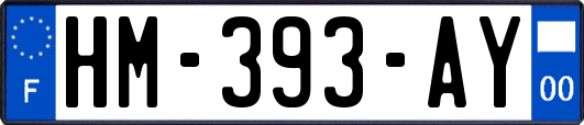 HM-393-AY