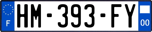 HM-393-FY