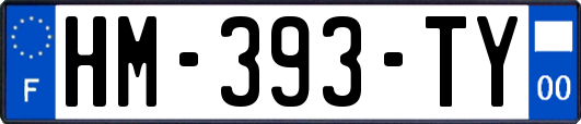 HM-393-TY