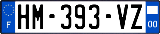 HM-393-VZ