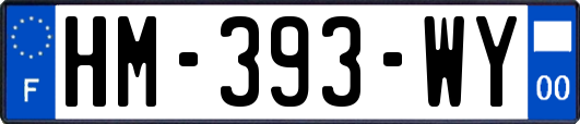 HM-393-WY