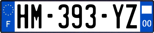 HM-393-YZ