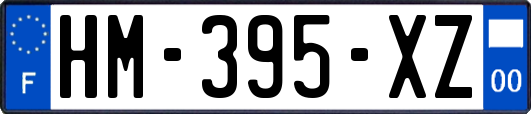 HM-395-XZ