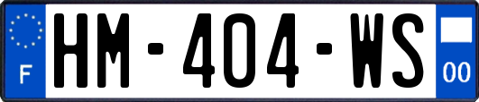 HM-404-WS