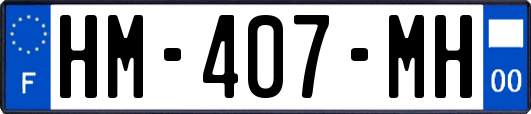 HM-407-MH