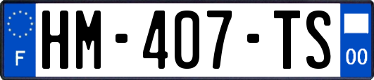 HM-407-TS
