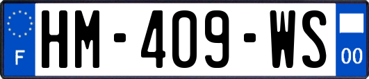 HM-409-WS