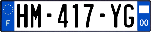 HM-417-YG