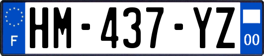 HM-437-YZ
