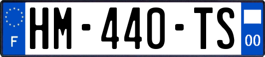 HM-440-TS