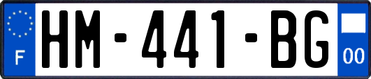 HM-441-BG