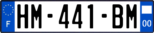 HM-441-BM