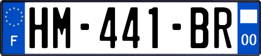 HM-441-BR