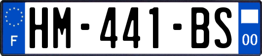 HM-441-BS