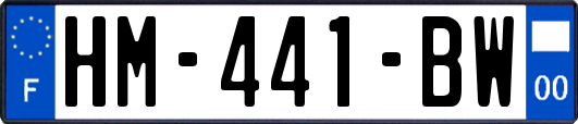 HM-441-BW