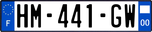 HM-441-GW