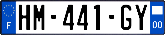 HM-441-GY