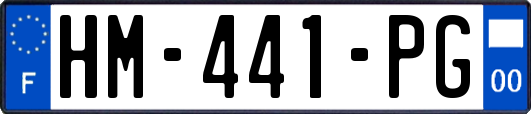 HM-441-PG