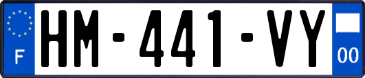 HM-441-VY