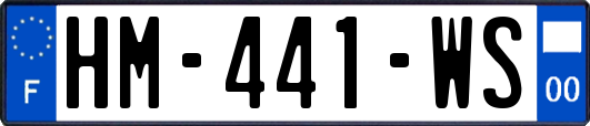 HM-441-WS