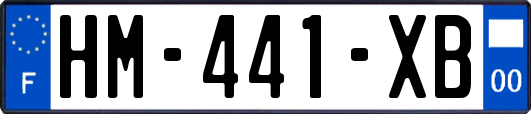 HM-441-XB