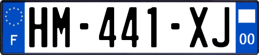 HM-441-XJ