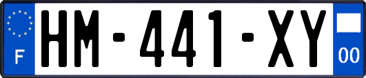HM-441-XY