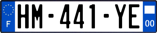 HM-441-YE