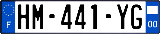 HM-441-YG