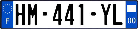 HM-441-YL