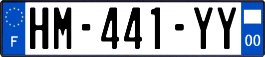 HM-441-YY