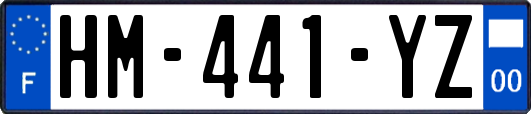 HM-441-YZ