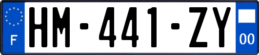 HM-441-ZY