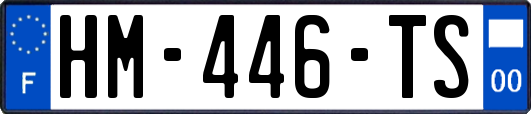 HM-446-TS