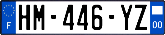 HM-446-YZ