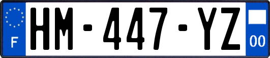 HM-447-YZ