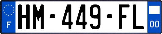 HM-449-FL
