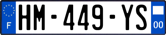 HM-449-YS