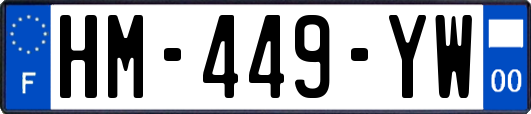 HM-449-YW
