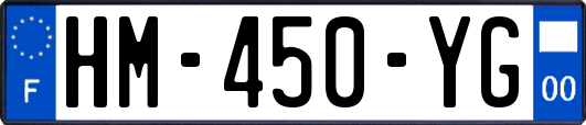 HM-450-YG