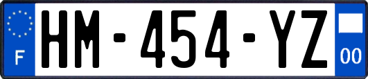HM-454-YZ