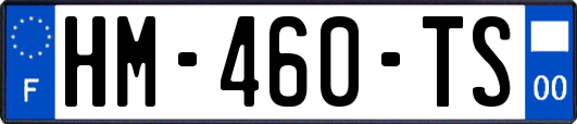 HM-460-TS