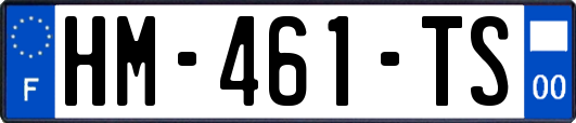 HM-461-TS