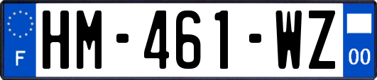 HM-461-WZ