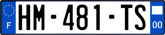HM-481-TS
