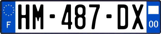 HM-487-DX