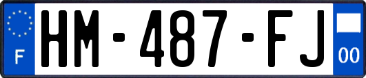 HM-487-FJ